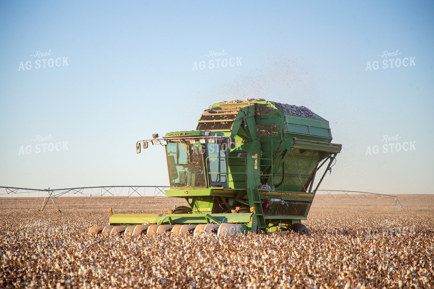 Cotton Harvest 208117