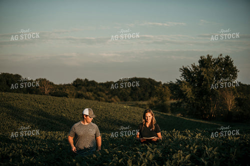 Farmer with Agronomist in Soybean Field 3184