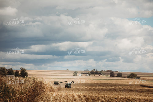 Combine Harvesting Corn and Unloading On the Go onto Auger Wagon 3327