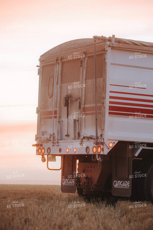 Grain Truck During Harvest 187401