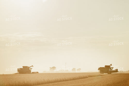 Soybean Harvest 9225