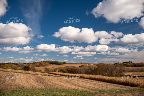 Fall Landscape 76572