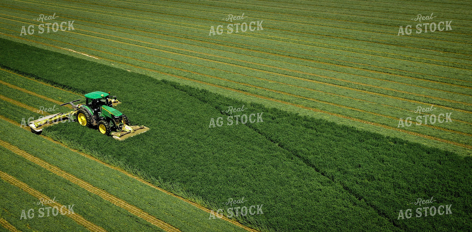 Cutting Alfalfa Hay 56025