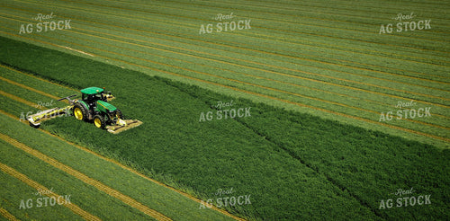 Cutting Alfalfa Hay 56025