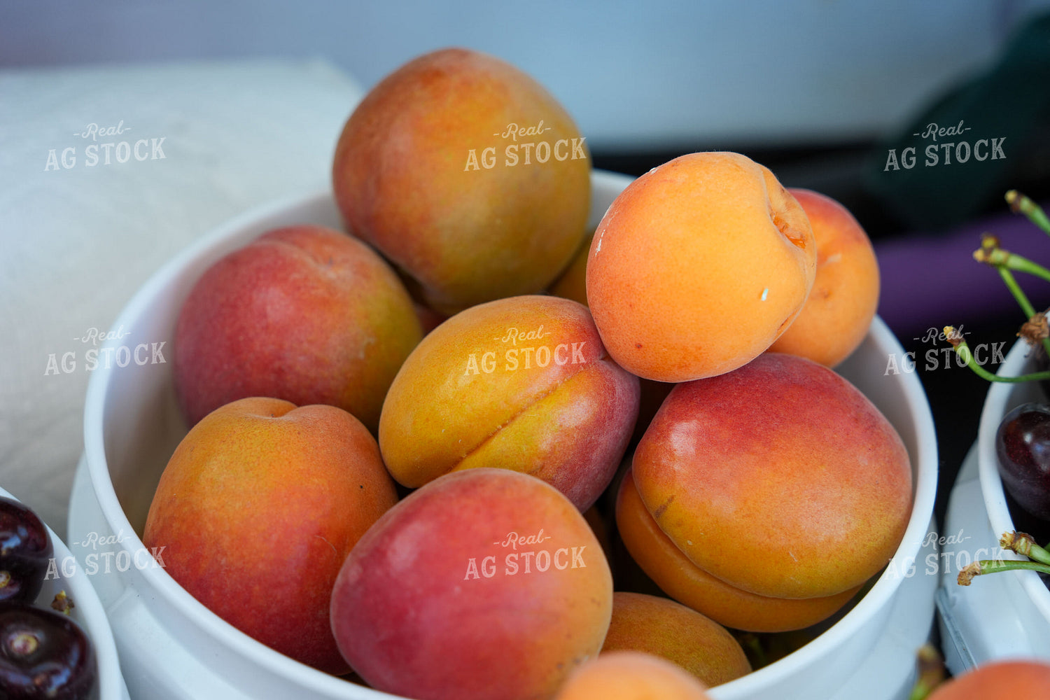 Apricots in Bucket 65790