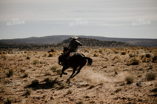 Rancher on Horse 54023