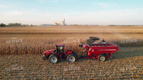 Corn Harvest 65139