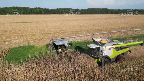 Aerial of Corn Harvest 149050