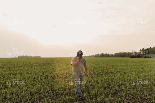 Farmer Scouting Sugar Beets 204013