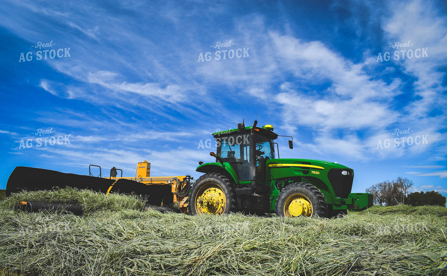 Raking Wheat Hay 56116