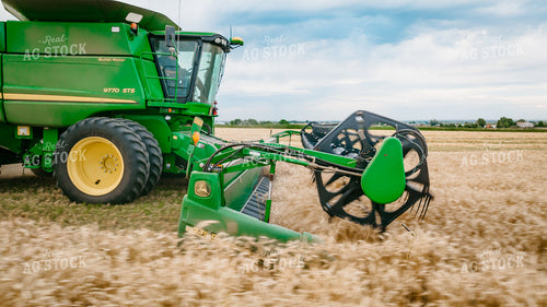 Wheat Harvest 56693