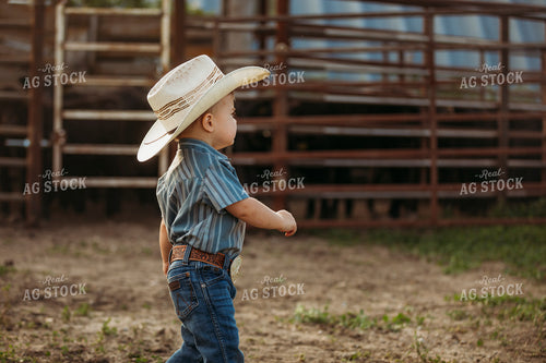 Ranch Kid Watching Cattle 285063