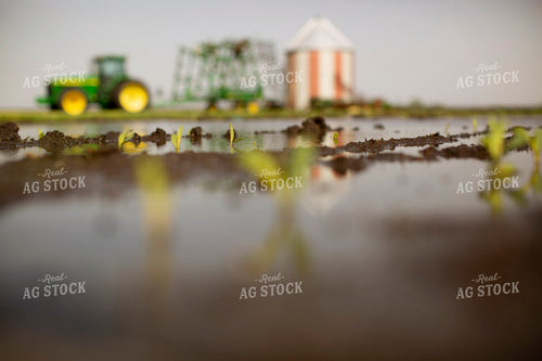Wet Field with Early Growth Corn and Tractor 5550