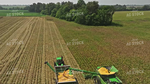 Corn Harvest 92061