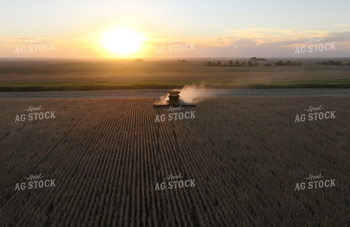 Soybean Harvest 141417