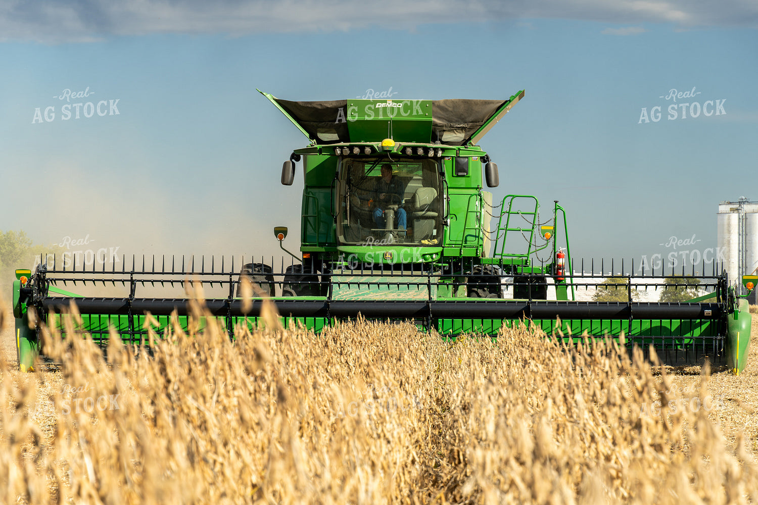 Soybean Harvest 65822
