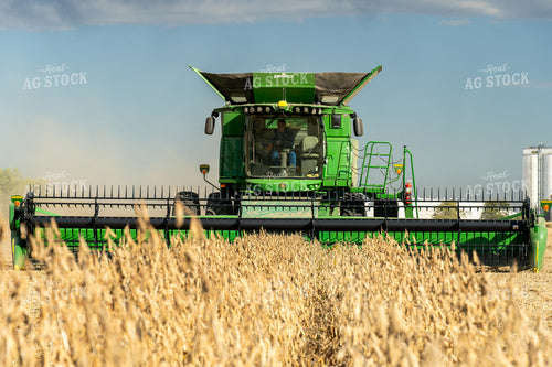 Soybean Harvest 65822