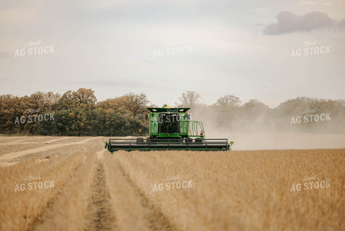 Harvesting Soybeans 152886