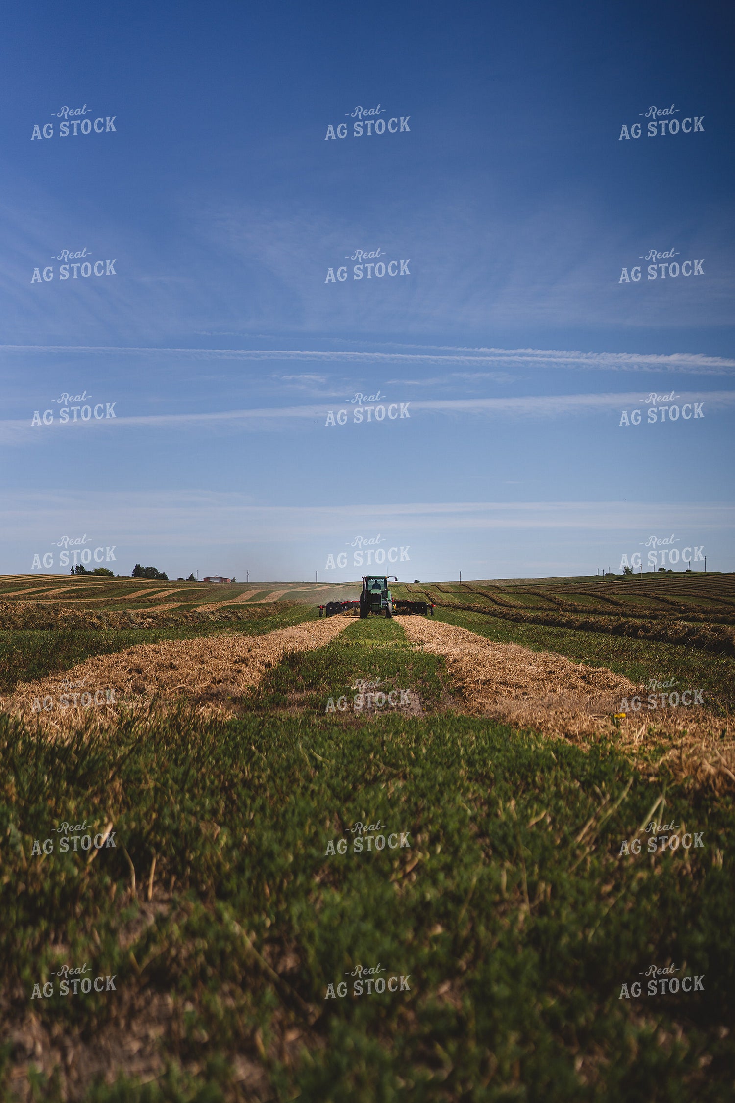 Raking Hay 196046