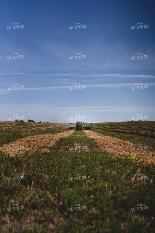 Raking Hay 196046
