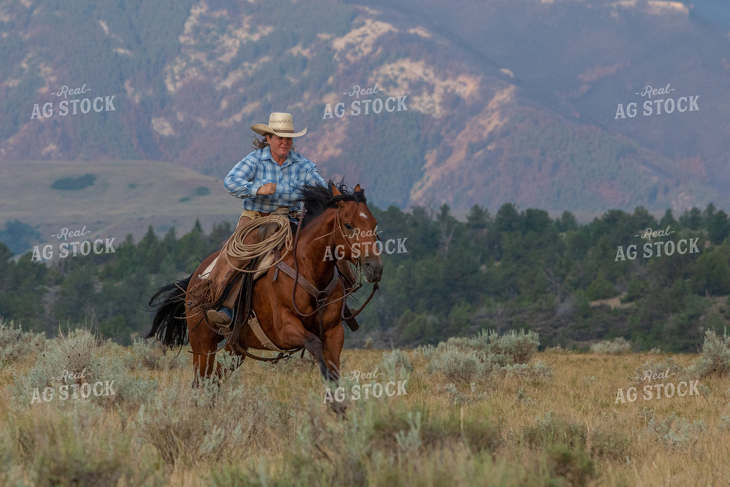 Cowgirl Riding Horse 290060