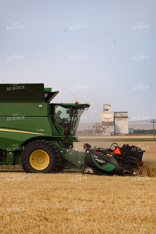 Wheat Harvest 187266