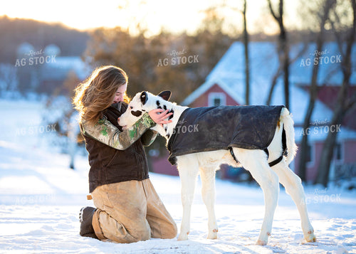 Holstein Calf with Farmer 55005