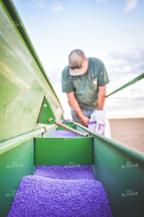 Loading Drill with Alfalfa Seed 56081