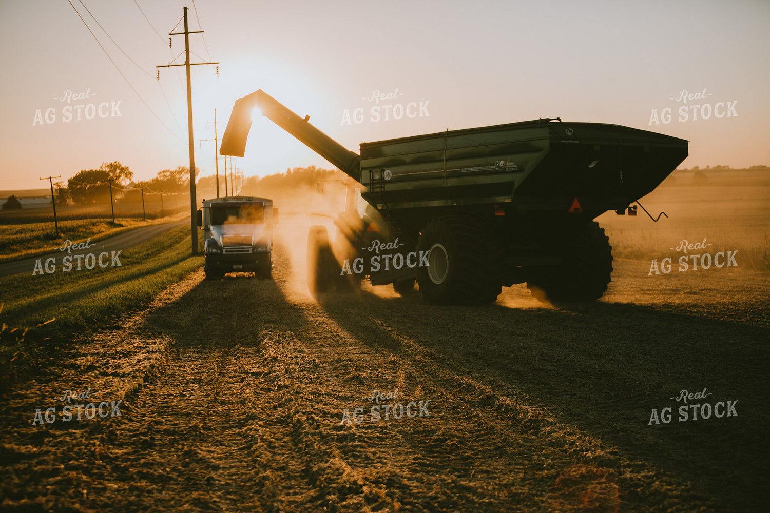 Grain Cart and Truck Silhouette in Soybean Field 4752