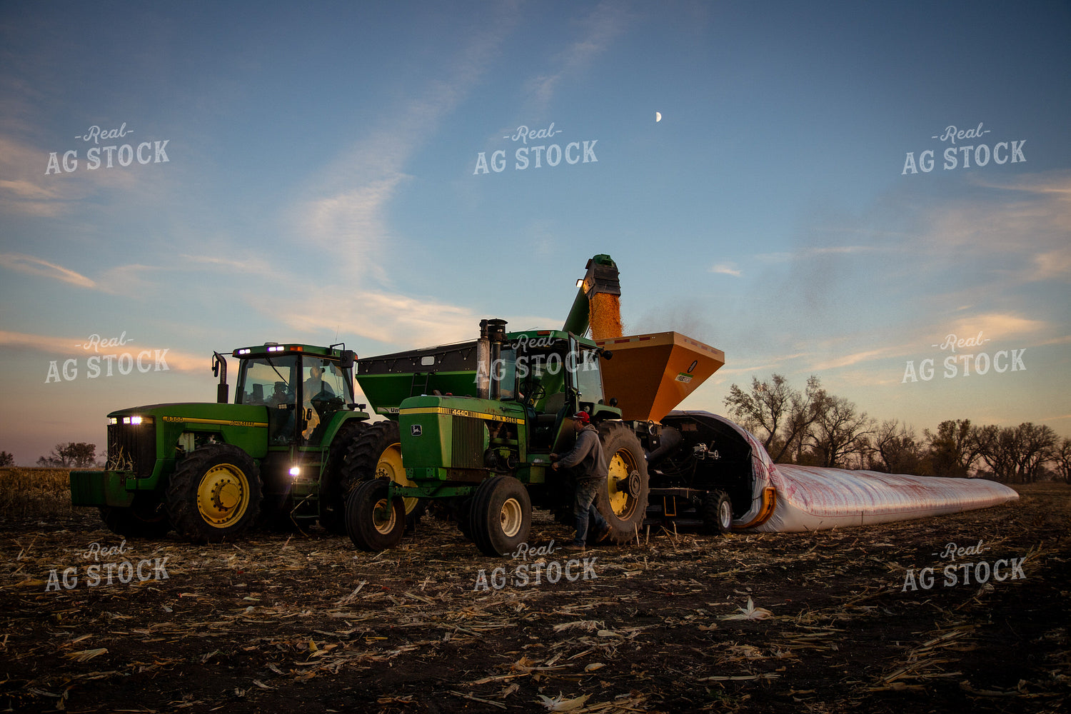 Bagging Harvested Corn 268256