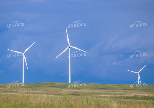 Pasture and Windmills 72012