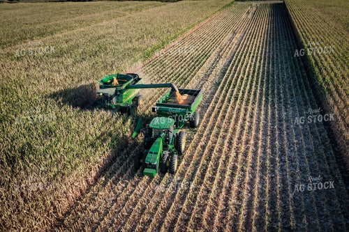 High Moisture Shell Corn Harvest Drone 56175