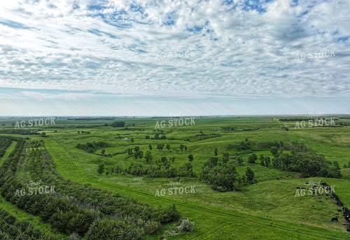 Aerial of Summer Pasture 141298
