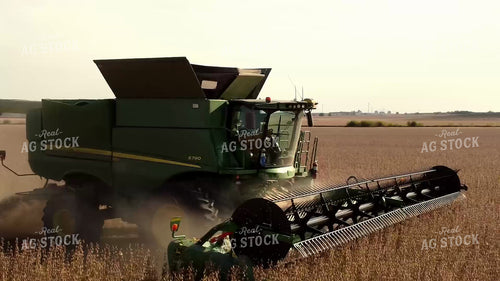 Soybean Harvest 287003