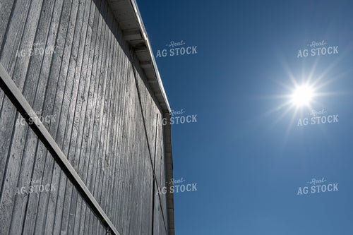 Sunshine on Barn 302000