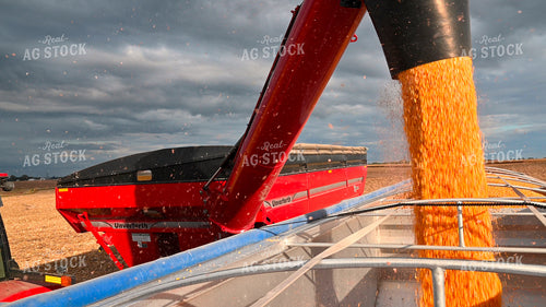 Grain Cart Unloading into Semi 25635