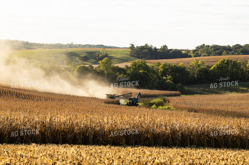 Corn Harvest 215141