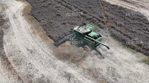Canola Harvest 79914