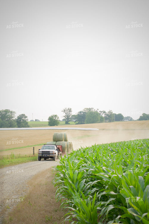 Driving Hay Bales to Storage 251159