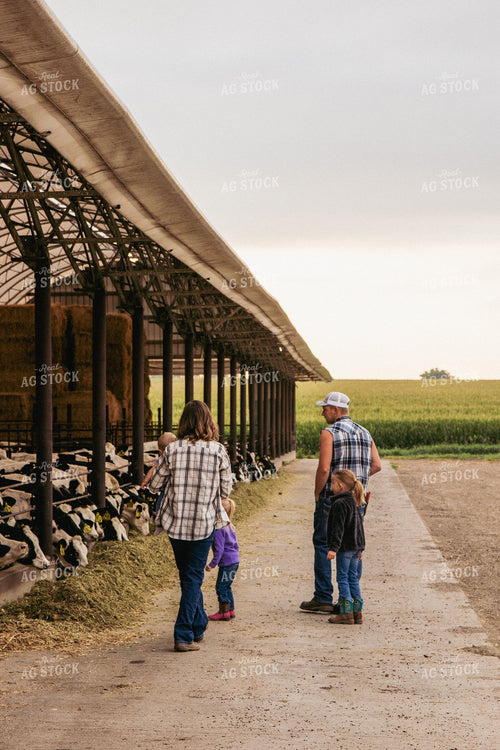 Farm Family Walking to Open Air Cattle Barn 67380