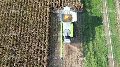 Overhead of Corn Harvest 149048