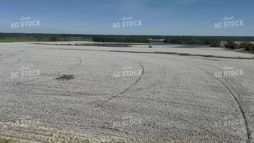Aerial of Cotton Harvest 149114