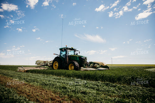 Cutting Hay 152144
