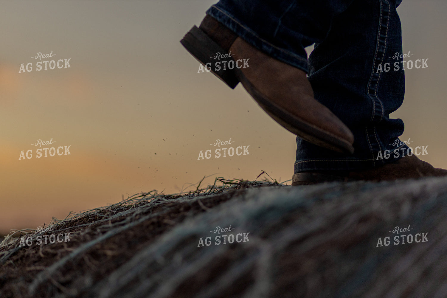 Farm Kids on Hay Bales 93374