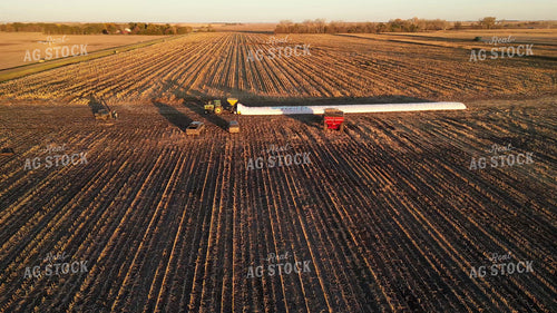 Corn Harvest with Bagged Corn 268260