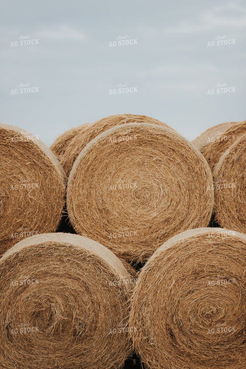 Round Hay Bales 254001