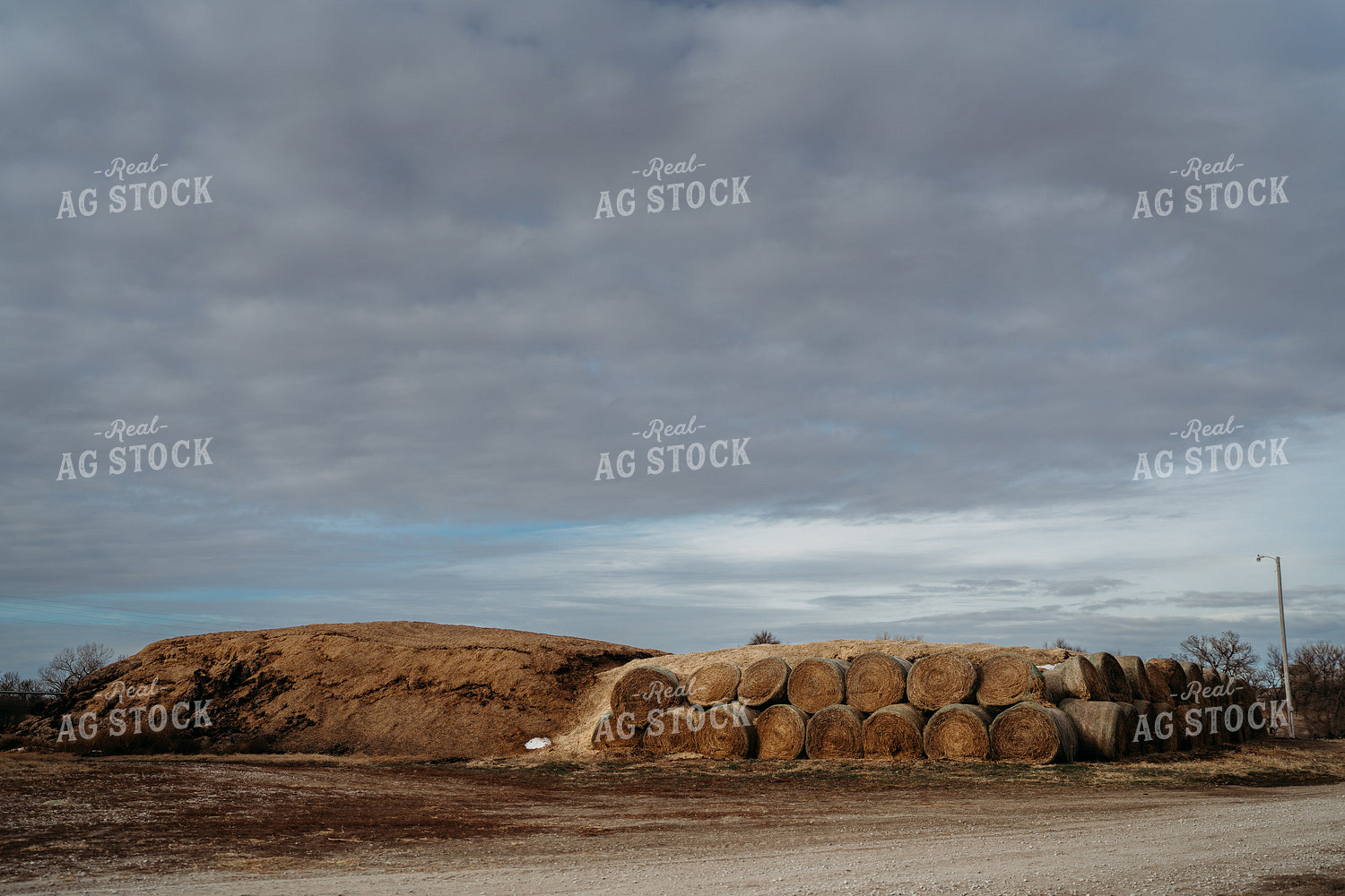 Uncovered Silage Pile 196186