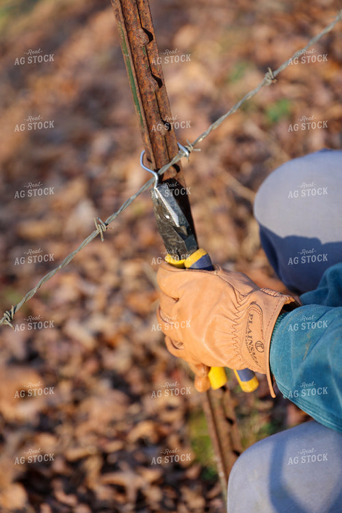 Repairing or Putting Up Fence 52268