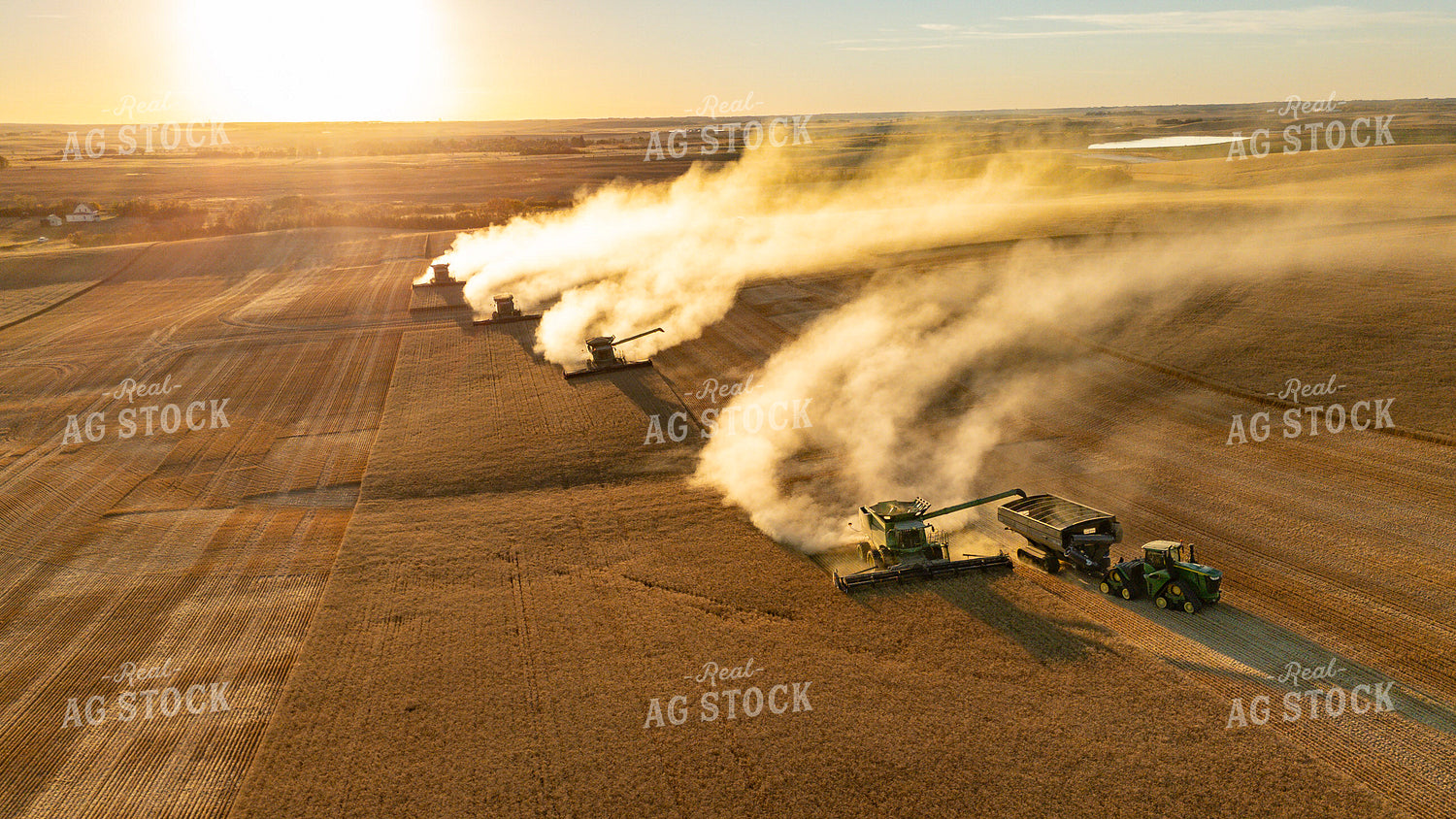 Wheat Harvest 187299