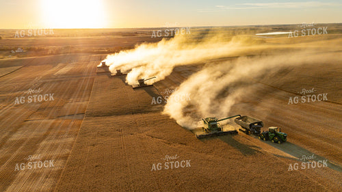 Wheat Harvest 187299